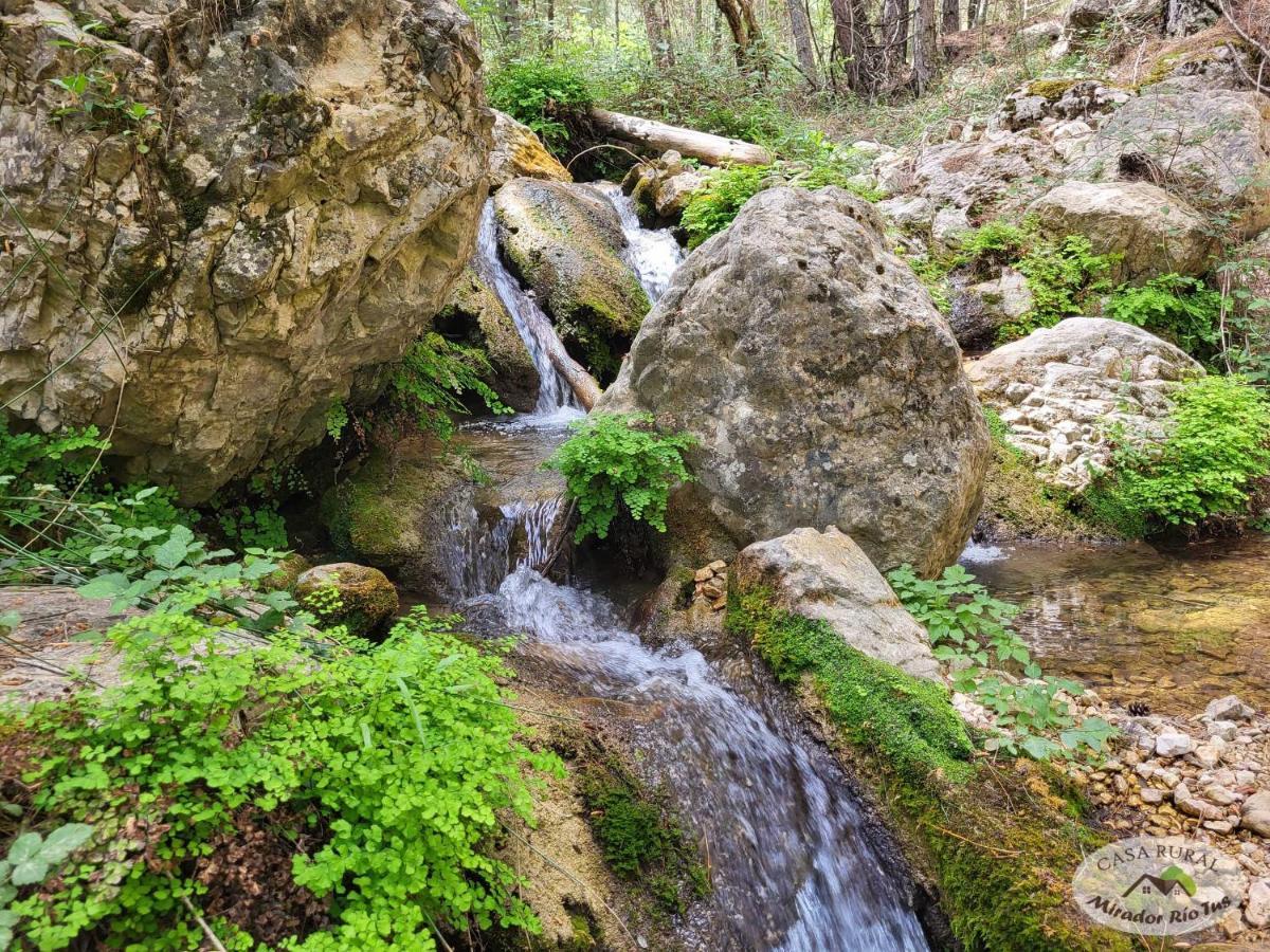 Casa Rural Mirador Del Rio Tus, En Yeste Esterno foto
